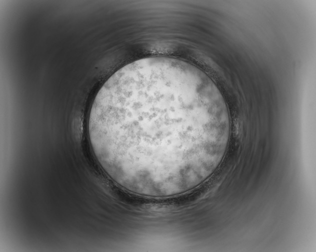 X0000088490733200706121548