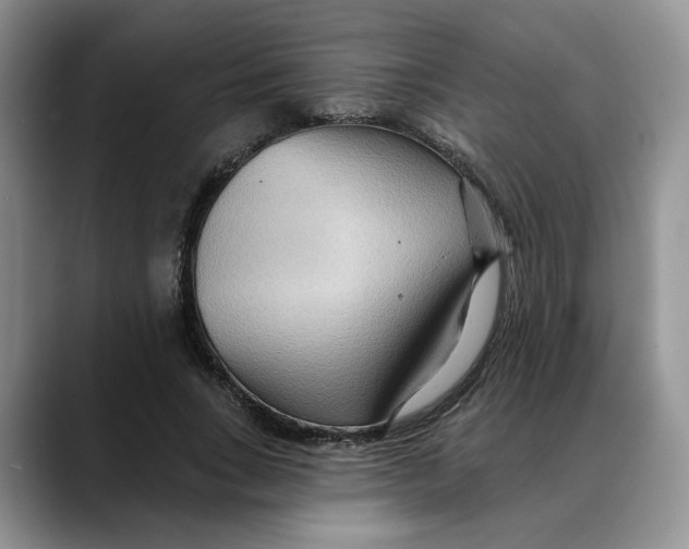 X0000088490735200706121548