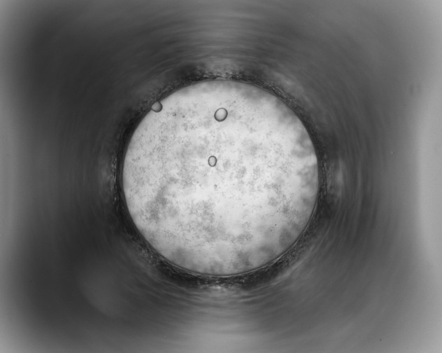 X0000088490737200706121548