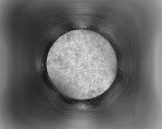 X0000088490743200706121549