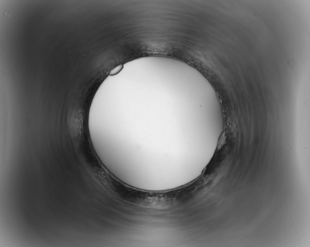 X0000088490744200706121549