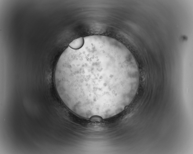 X0000088490745200706121549