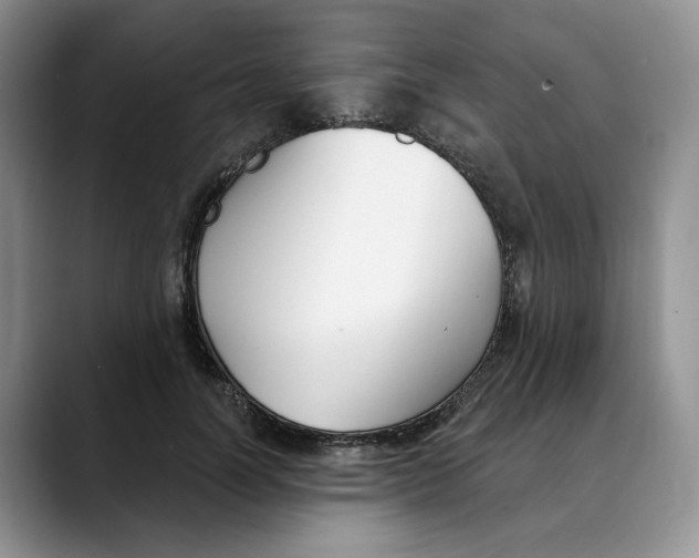 X0000088490746200706121549