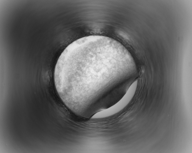 X0000088490747200706121549