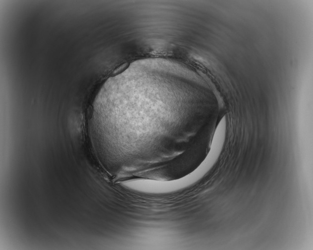 X0000088490748200706121549