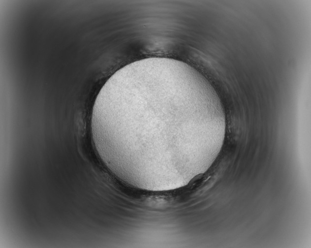 X0000088490751200706121549