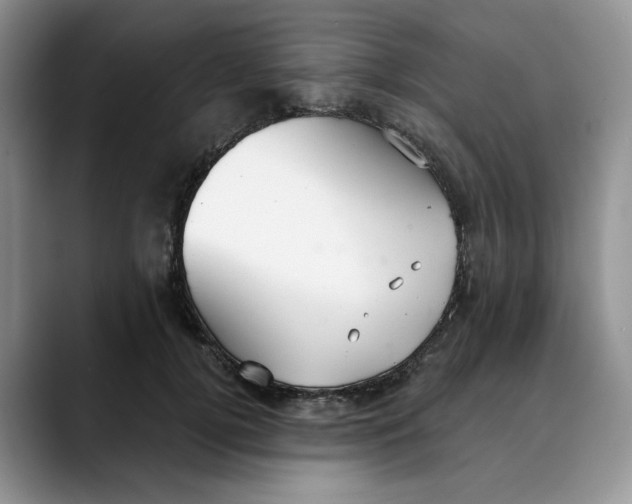 X0000088490752200706121549