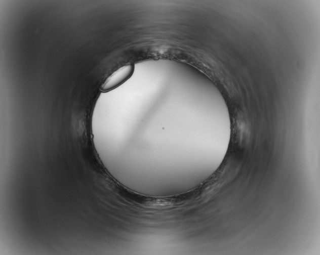 X0000088490754200706121549