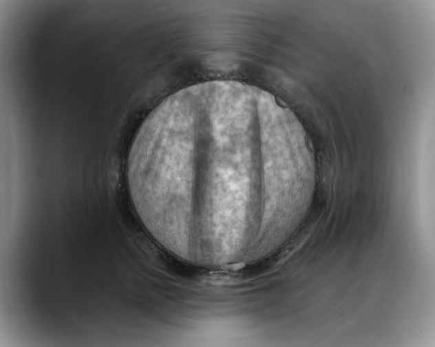 X0000088490758200706121549