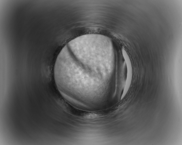 X0000088490759200706121549