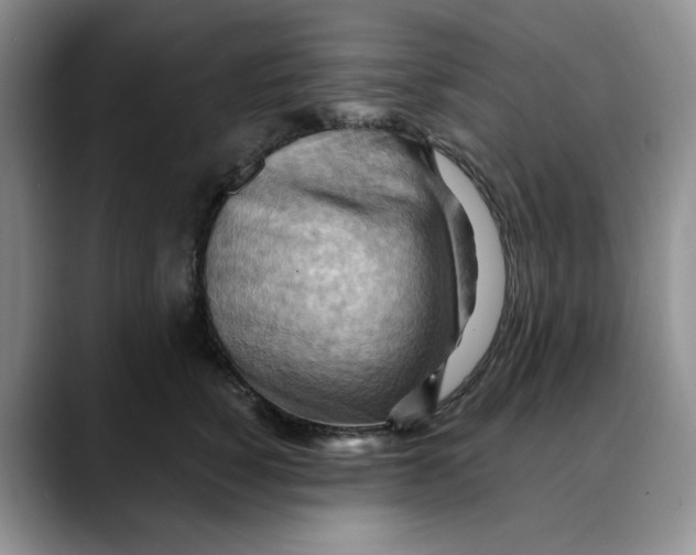 X0000088490760200706121549