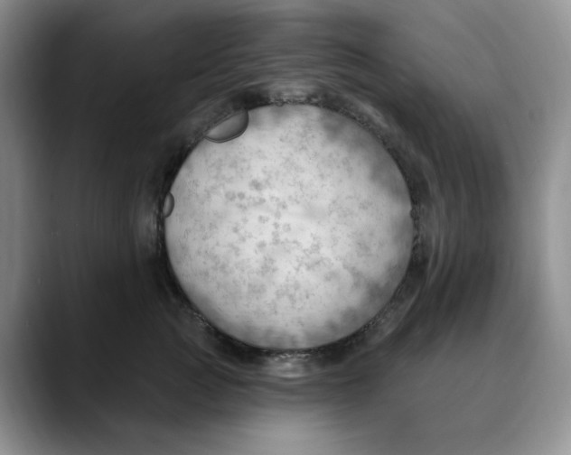 X0000088490761200706121549