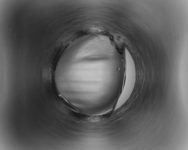 X0000088490762200706121549