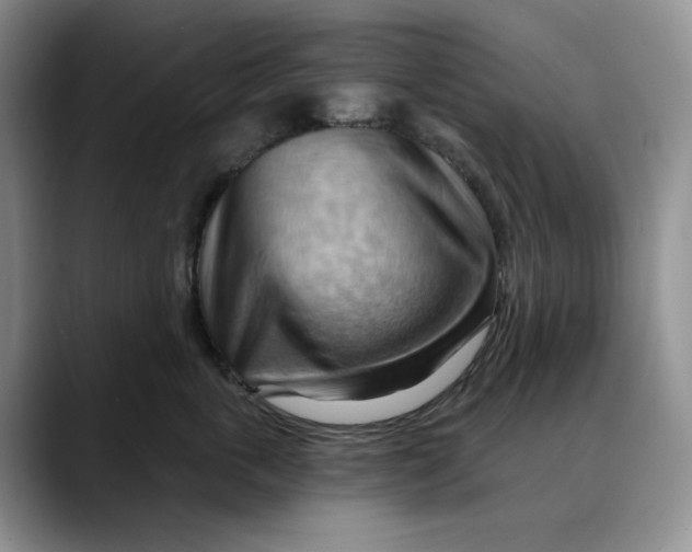 X0000088490763200706121549