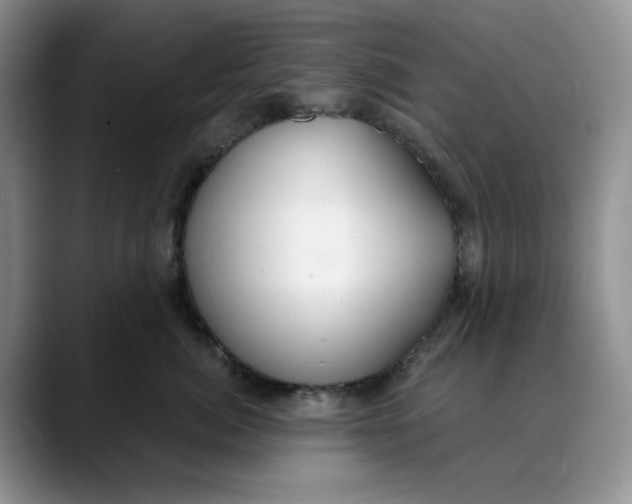 X0000088490764200706121549