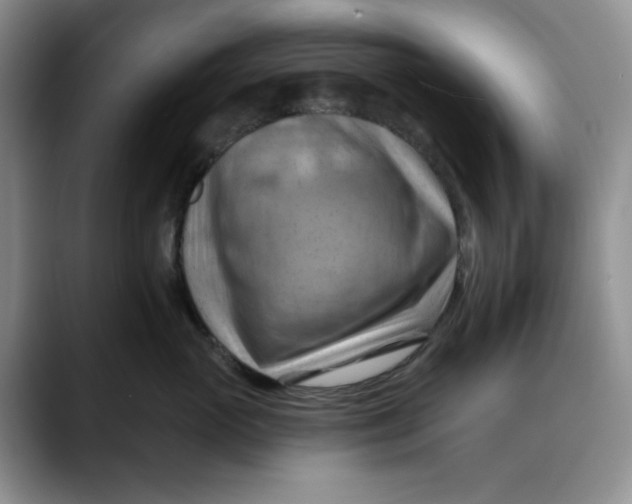 X0000088490765200706121549