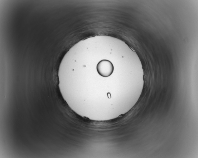 X0000088490766200706121549