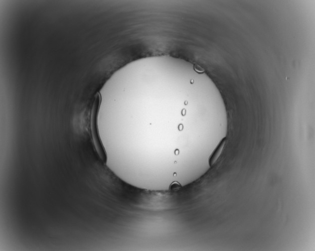 X0000088490768200706121549