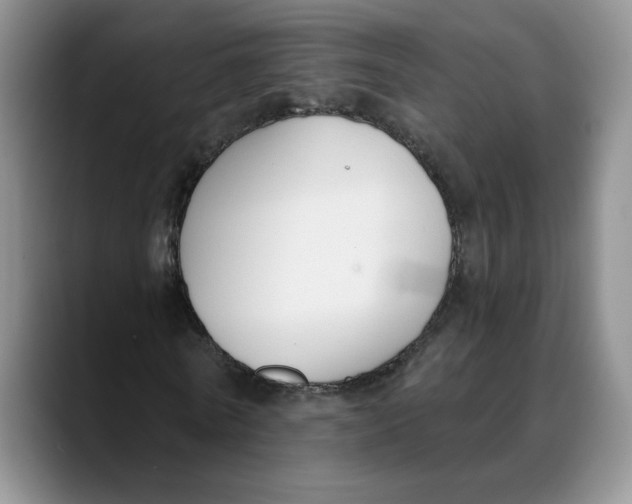 X0000088490770200706121548