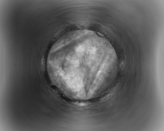 X0000088490772200706121548