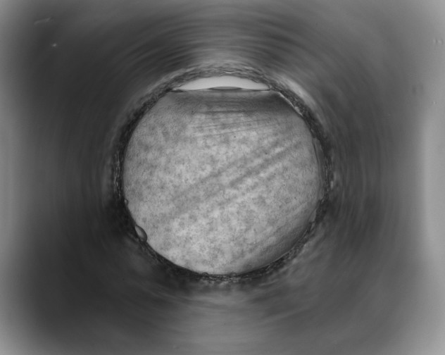 X0000088490775200706121548