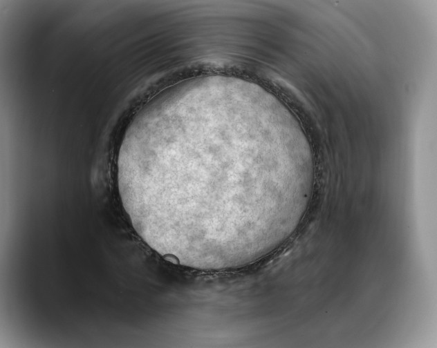 X0000088490776200706121548