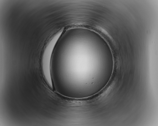 X0000088490777200706121548