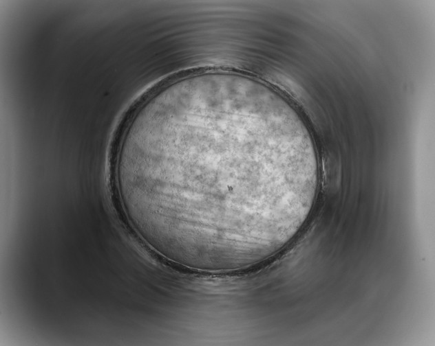 X0000088490780200706121548