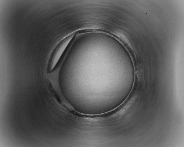 X0000088490781200706121548