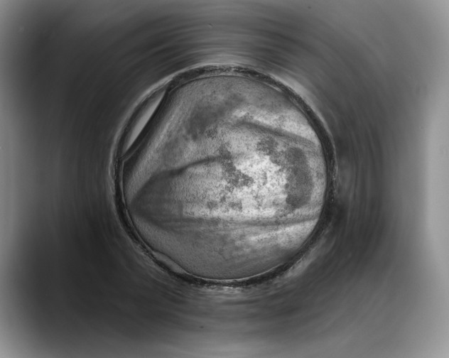 X0000088490783200706121548