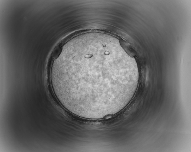 X0000088490784200706121548