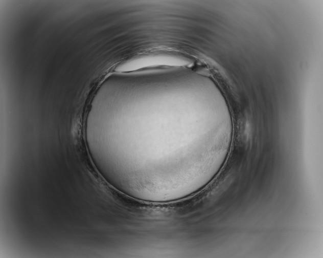 X0000088490785200706121548