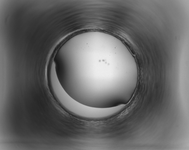 X0000088490788200706121548