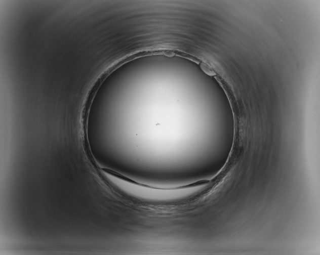 X0000088490789200706121548