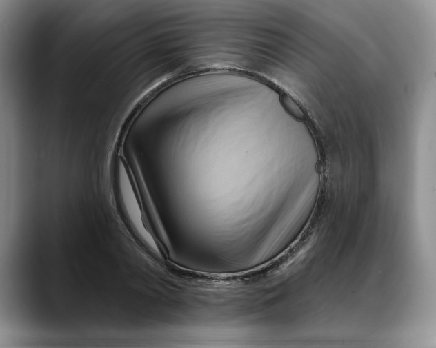 X0000088490790200706121548