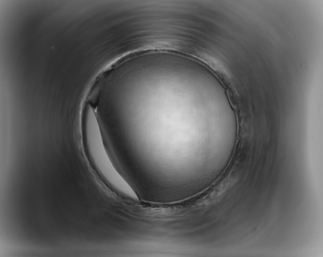 X0000088490792200706121548