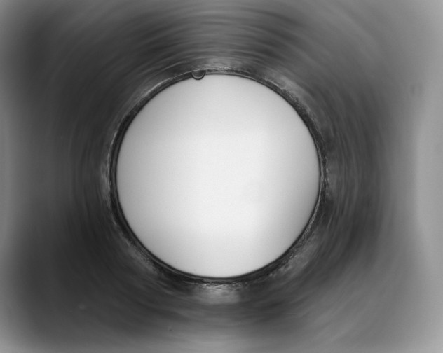 X0000088490794200706121548