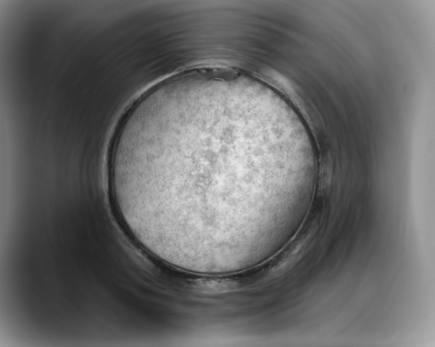 X0000088490795200706121548