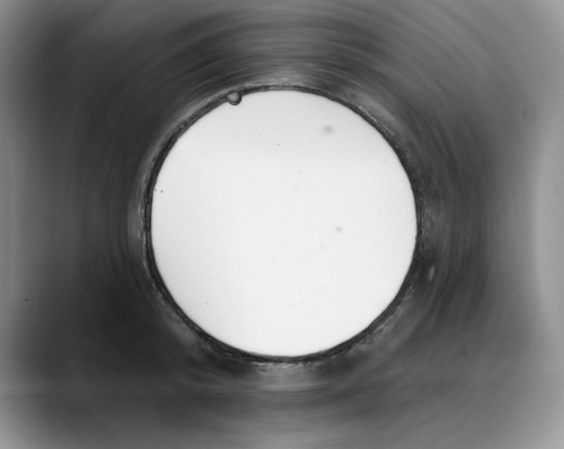 X0000088490800200706121548