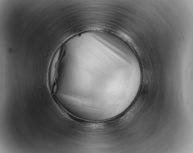 X0000088490802200706121548