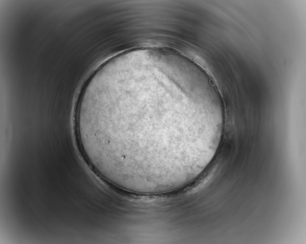 X0000088490803200706121548