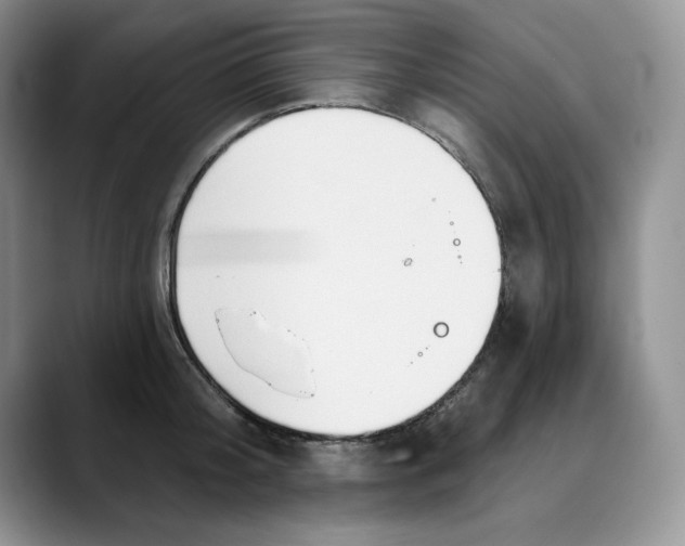 X0000088490804200706121548