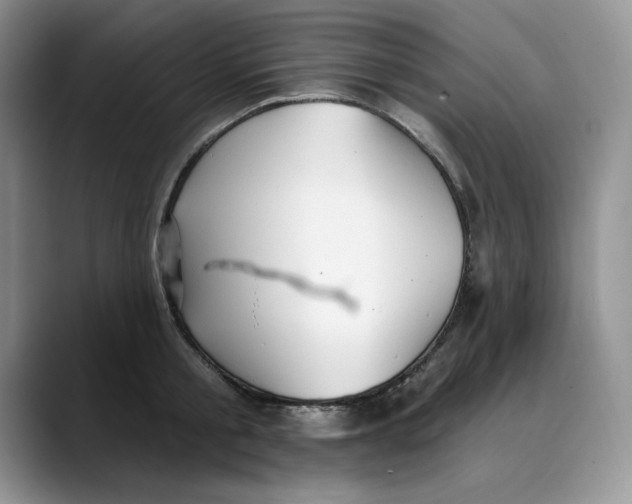 X0000088490805200706121548