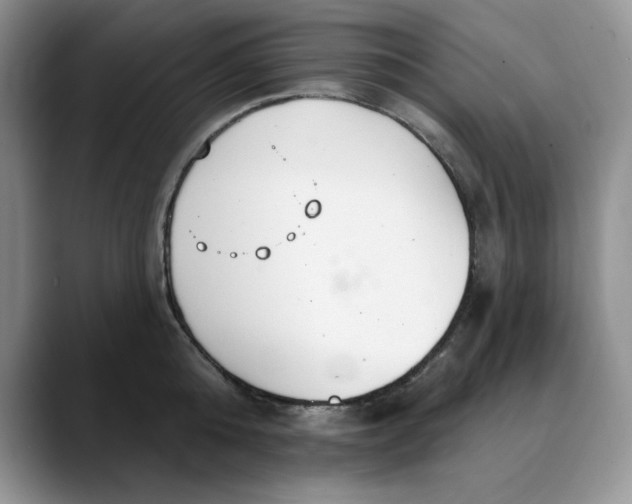 X0000088490808200706121548