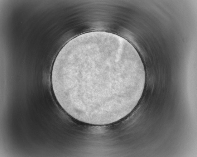 X0000088490810200706121548