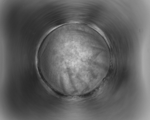 X0000088490811200706121548