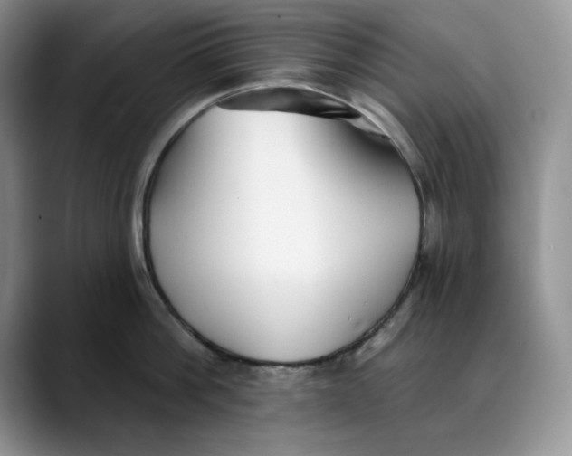 X0000088490812200706121548