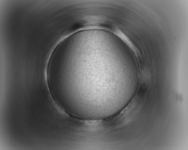 X0000088490813200706121548