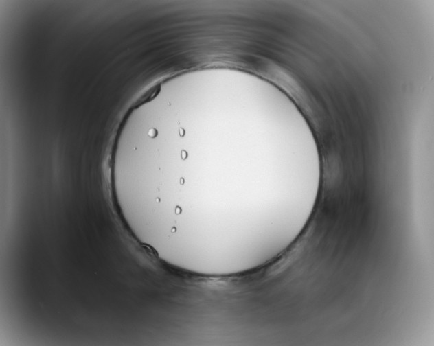 X0000088490814200706121548