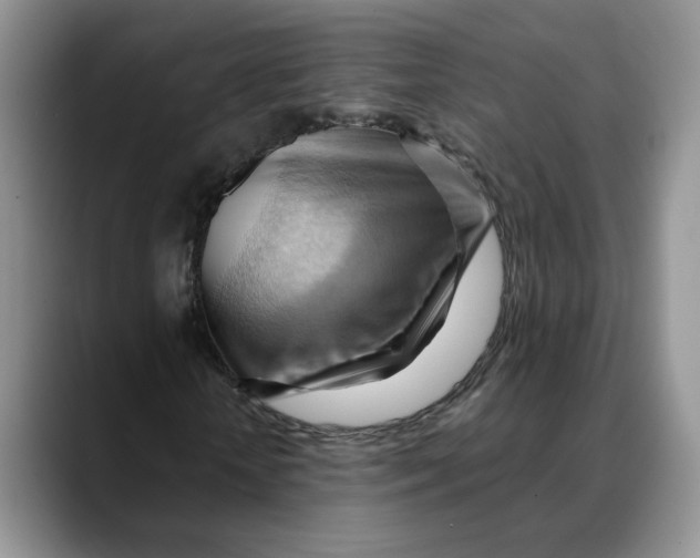 X0000088490818200706121547